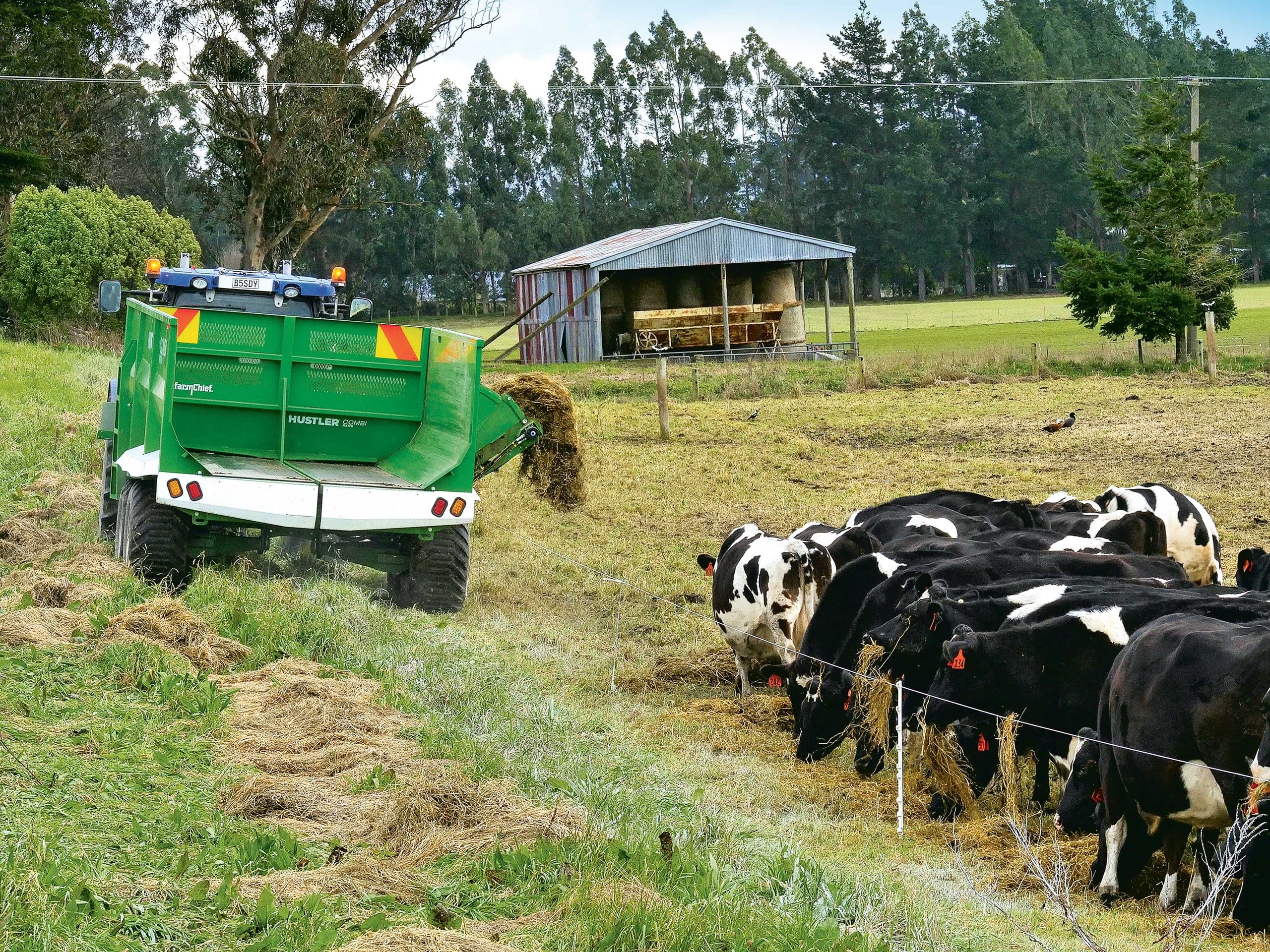 Best Silage Wagon For Medium Dairy Herds