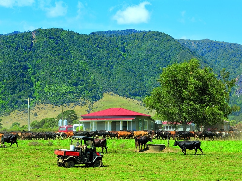 State Sector Rural Implications for relationship property in the rural sector farm advice
